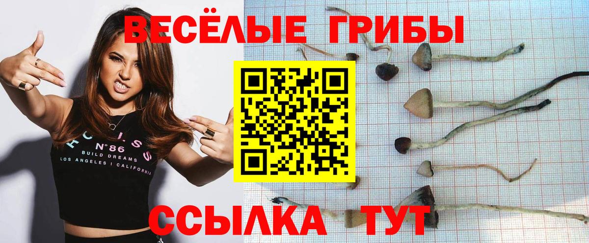 Гусь-Хрустальный  Псилоцибиновые грибы ЛСД  Псилоцибиновые грибы Psilocybe  Вход с VPN 
