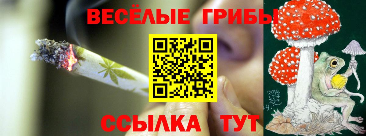 Псилоцибиновые грибы Psilocybine cubensis Гусь-Хрустальный